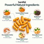 Turmeric Curcumin Blend (800mg)