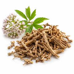 Valerian Root