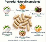 Boswellia Extract